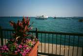Navy Pier Ships